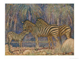Buy Equus Burchelli Burchell's Zebra at AllPosters.com