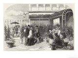 Buy Buying Christmas Trees in Covent Garden Market London at AllPosters.com