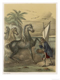 Buy The Houyhnhnm Graciously Permits Gulliver to Kiss His Hoof at AllPosters.com
