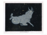 Buy The Constellation of Capricorn at AllPosters.com