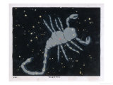 The Constellation of Scorpio the Scorpion