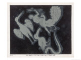Buy The Constellations Indus Pavo Grus and Toucan at AllPosters.com