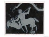 Buy The Constellations Centaur Lupus Crux Musca and Borealis at AllPosters.com