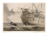 Buy The First Unsuccessful Cable is Laid by Hms "Agamemnon": an Inquisitive Whale Crosses the Line at AllPosters.com