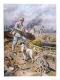 Buy The French Army Use Dogs to Haul Supplies to Their Trench Positions at AllPosters.com
