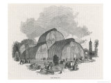 Buy The Palm House at Kew at AllPosters.com
