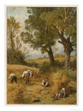 Buy Harvesting with the Sickle in an English Corn-Field Before the Introduction of Reaping Machines at AllPosters.com