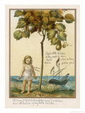 Buy I Had a Little Nut Tree Nothing Would It Bear at AllPosters.com