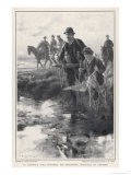 Buy La Camargue Still Provides the Entrancing Spectacle of Hawking at AllPosters.com