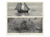 Buy Fishing for Pearls in the Torres Straits Australia at AllPosters.com