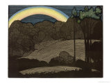 Buy Nocturnal Rainbow at AllPosters.com
