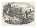 Buy Rabbit Shooting Near Tunbridge Kent at AllPosters.com