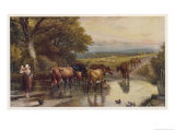 Buy Cattle Returning to the Farm from Pasture at AllPosters.com