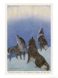 The Song of the Huskies: Howling Under the Aurora Borealis