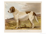 Buy Fred Grahams Smooth St. Bernard Abbess at AllPosters.com