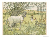 Buy Former Bus Horse is Put out to Grass at AllPosters.com