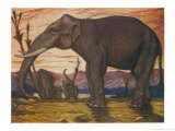 Buy The Indian Elephant: Elephans Indicus at AllPosters.com