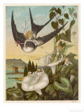 Buy Thumbkinetta (Tommelise) Rides on a Swallow's Back at AllPosters.com