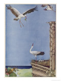 The Father Stork Brings a Frog to His Nestlings Giclee Print