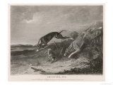 Buy Hare Coursing at AllPosters.com