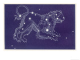 Buy Leo at AllPosters.com