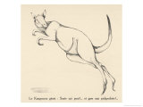 Buy Giant Kangaroo Leaping at AllPosters.com