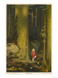 Buy Little Girl in Big Forest at AllPosters.com