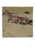 The Fox