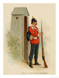 Buy Member of the 24th South Wales Borderers at AllPosters.com