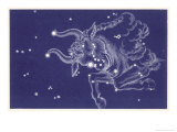 Taurus