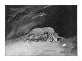 Wolf Adopting Human Child 2 of 5,
