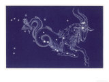 Buy Capricorn at AllPosters.com