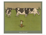 Who's Afraid, a Perky Little Dog Keeps an Eye on Three Cows