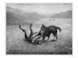 Feral Child Playing with a Wolf Cub 4 of 5