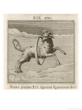 Zodiac