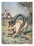 Buy Sicilian Farmers Report Cat-Like Creature with Serpent's Body Seen Near Palermo at AllPosters.com
