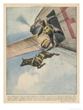 Finnish Parachutist Jumps with His Dog