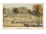 Buy The Gold Escort Leaves Castlemaine Camp for Melbourne at AllPosters.com