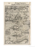 Buy In the Middle Ages the Mediterranean was Teeming with Marine Monsters at AllPosters.com