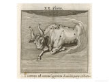 Zodiac