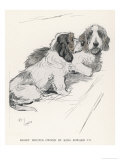 Basset Hounds Owned by King Edward VII