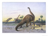 Brontosaurus Attacked by Allosaurus