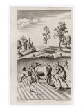 Buy Roman Farmers Plowing with Oxen at AllPosters.com