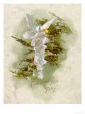 One of the Christmas Tree Fairy