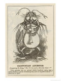 Buy Charles Darwin English Naturalist Cartoon of the Darwinian Ancestor at AllPosters.com