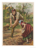 Buy Planting Potatoes at AllPosters.com