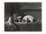 Buy King Charles Spaniels the Cavalier Pets at AllPosters.com