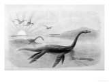 Buy Plesiosaurus Dolichodeirus at AllPosters.com