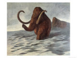Buy Mammoths Travelling Across the Snow at AllPosters.com