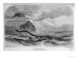 Buy Gosse Serpent Theory at AllPosters.com